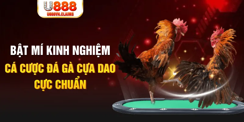 12 bet casino hồ tràm có cho người việt vào không