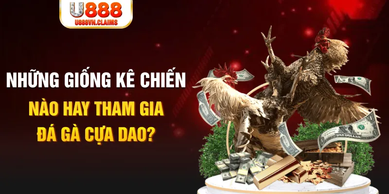 12 bet BG Trực Tuyến