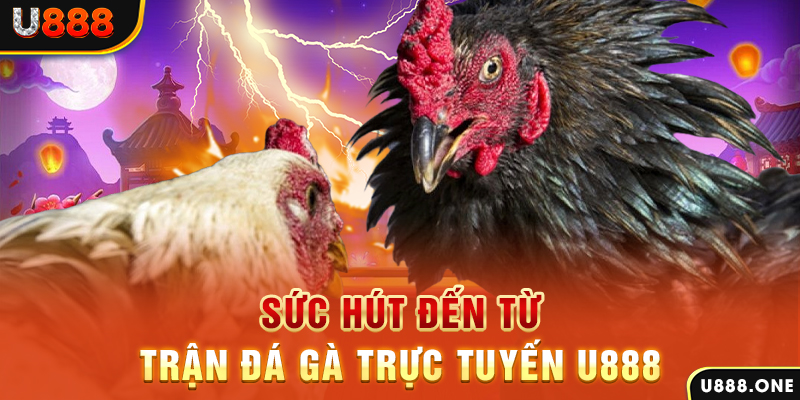 12 bet đăng nhập poker 2024