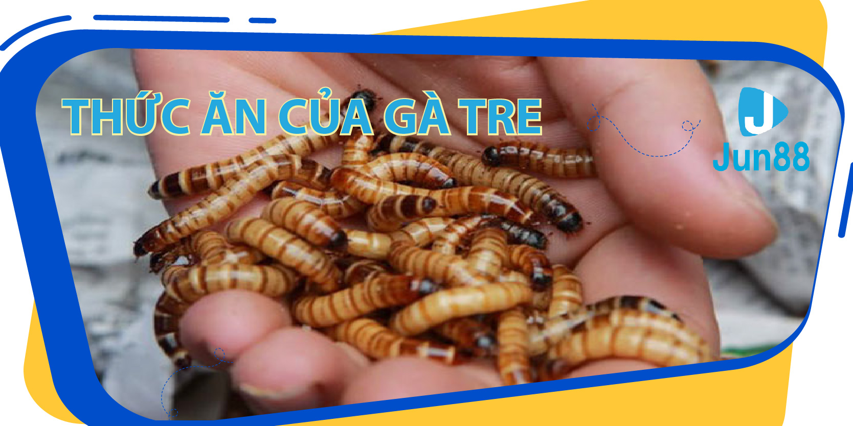 12 bet ban ca 30