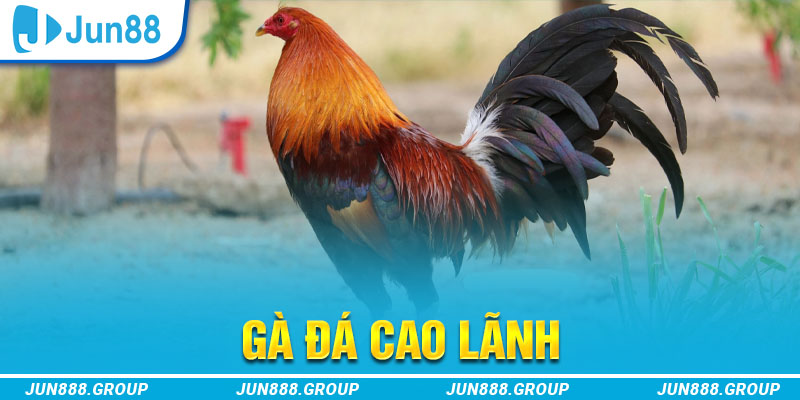 12 bet tai game vua bai ve may tinh