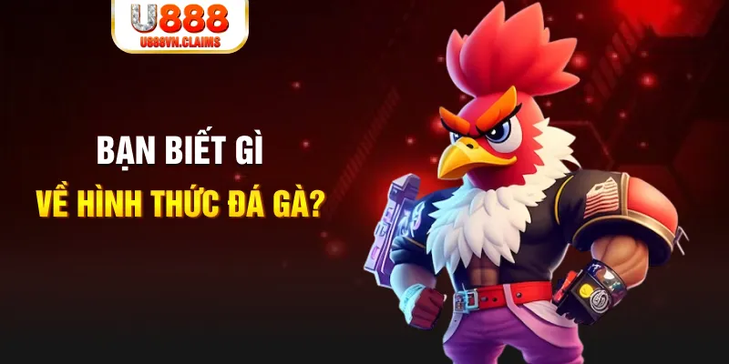 12 bet đăng nhập liêng tặng tiền