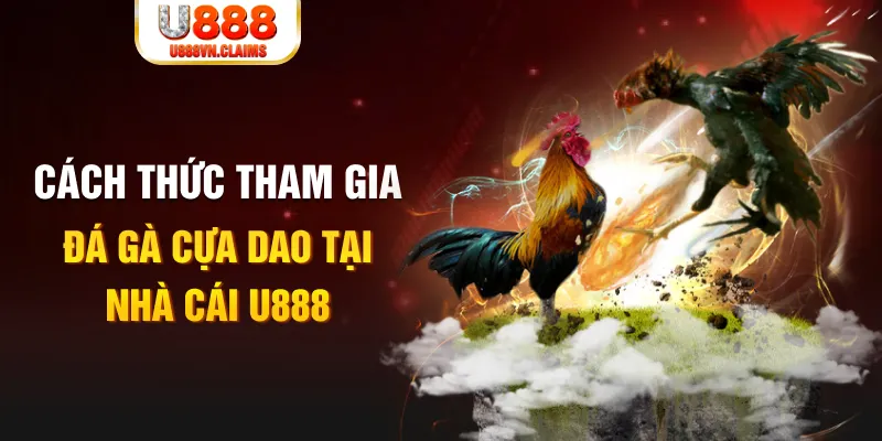 12 bet đá gà 88.com