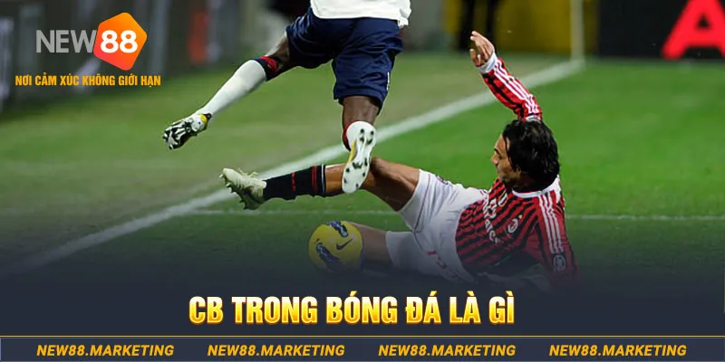 12 bet DG Trực Tuyến