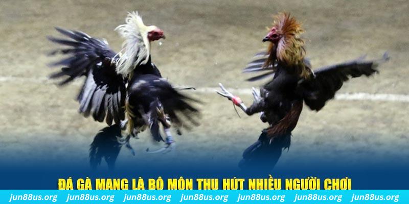 12 bet đăng nhập sòng bạc số 1