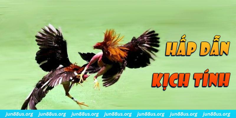 12 bet xổ số miền nam thứ sáu