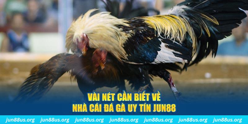12 bet Jones Chuối