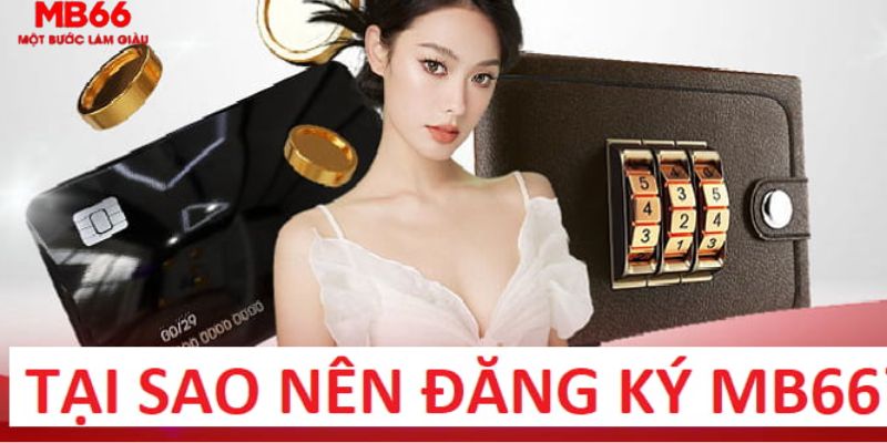 12 bet trực tiếp gà chọi c1