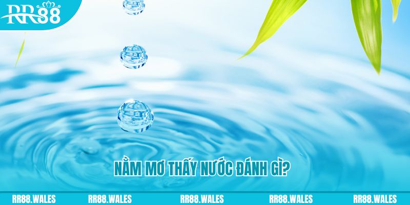 12 bet xổ số trực tiếp miền bắc