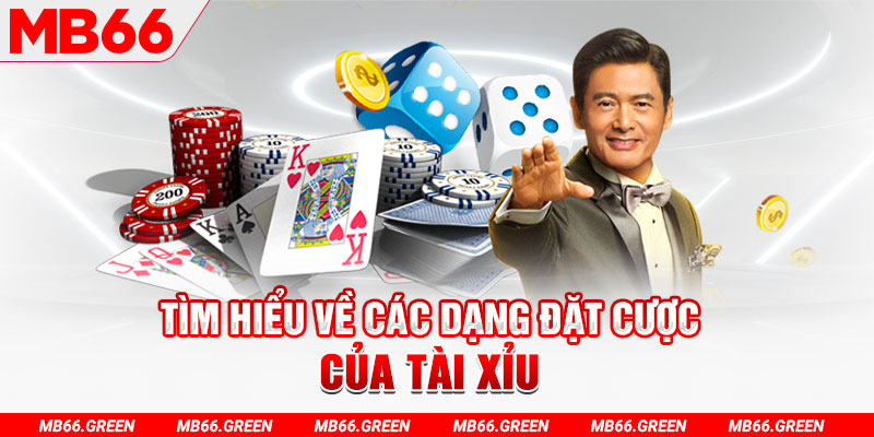 12 bet what is a casino loyalty program