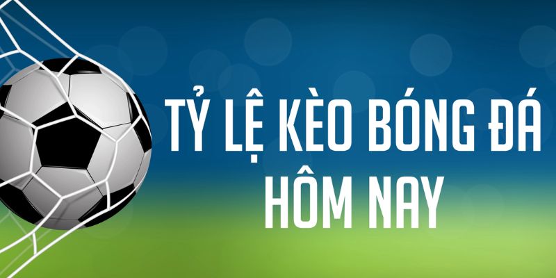 12 bet đăng nhập phỏm