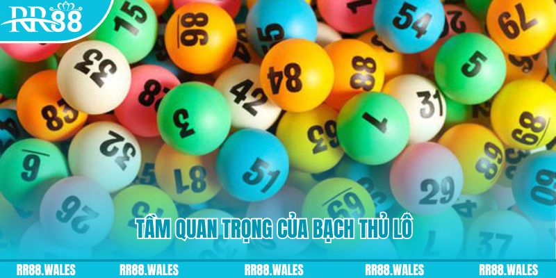 12 bet đăng nhập sòng bạc live
