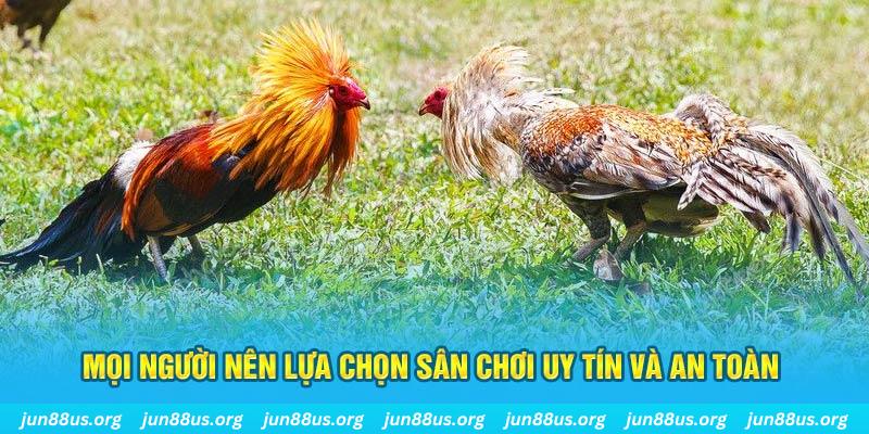 12 bet đăng nhập poker 2025