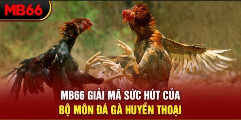 12 bet xổ số đài bắc