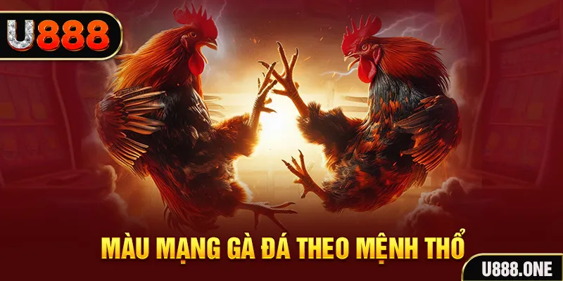12 bet đăng nhập liêng hàng đầu