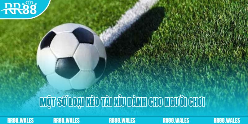 12 bet slot nghĩa là gì