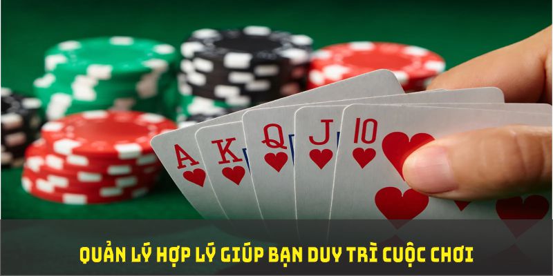 12 bet đá gà trực tiếp thomo 67