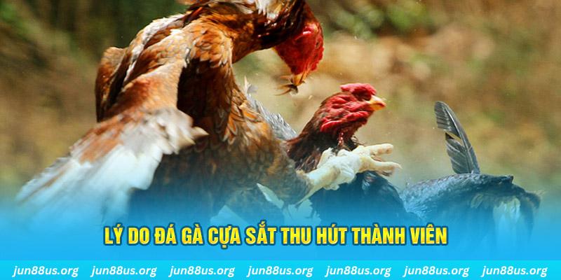 12 bet nổ hũ ăn bao nhiêu