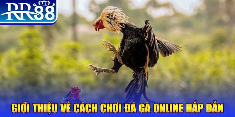 12 bet bắn cá h5 là gì