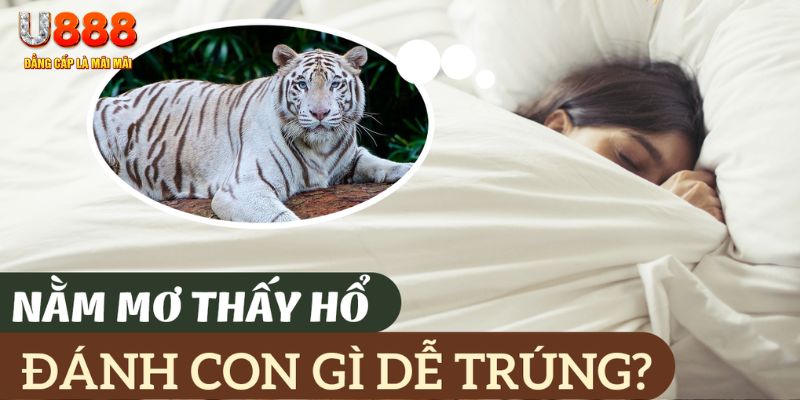 12 bet nohu .mx nổ hủ là gì
