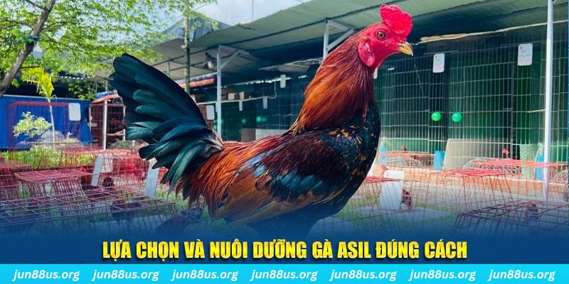 12 bet nổ hũ thần tài là gì