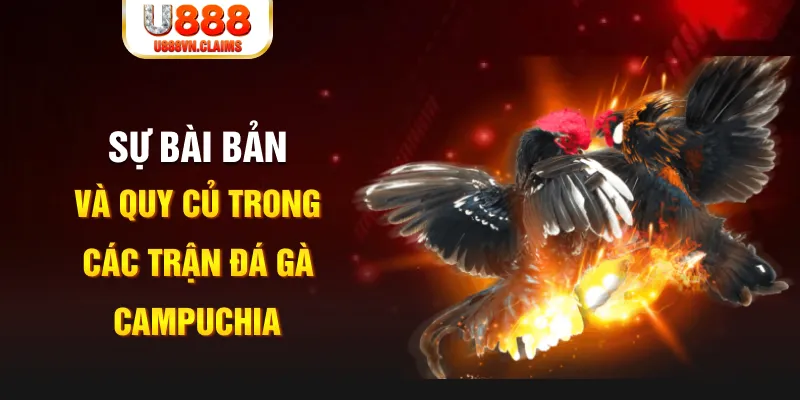 12 bet game xếp bài trên máy tính