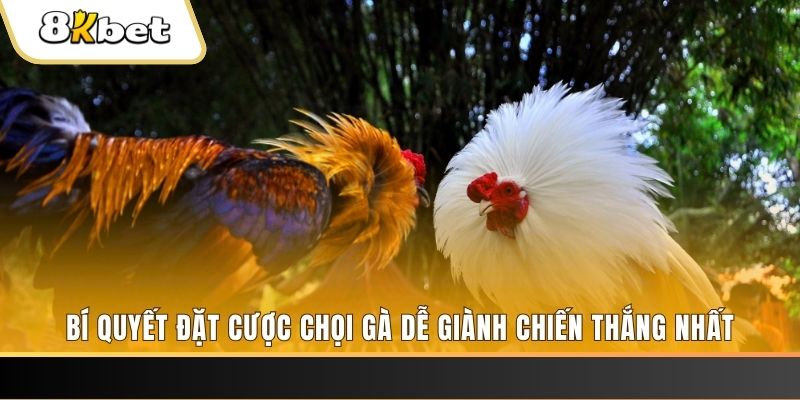 12 bet nổ hũ chơi như thế nào