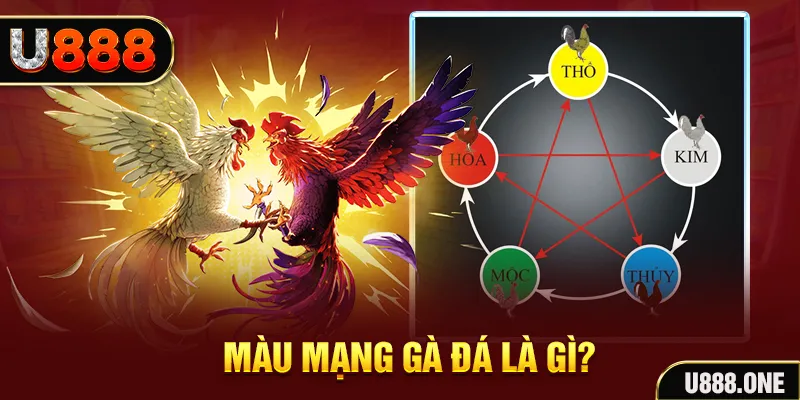 12 bet V8 Game Bài 3d