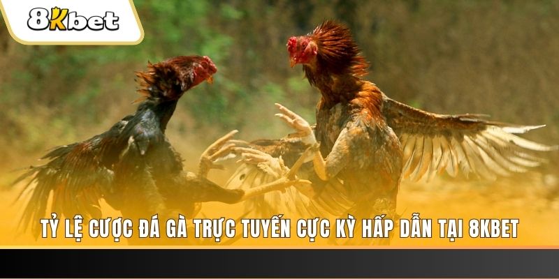 12 bet xổ số miền bắc chủ nhật