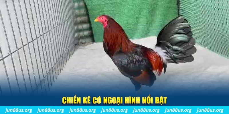 12 bet qq88 bắn cá