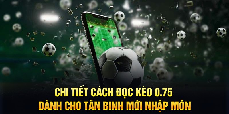 12 bet Xì tố