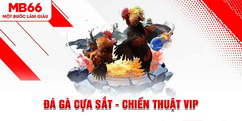 12 bet slot out là gì