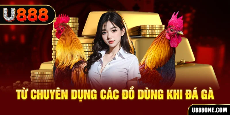 12 bet xổ số hồ chí minh