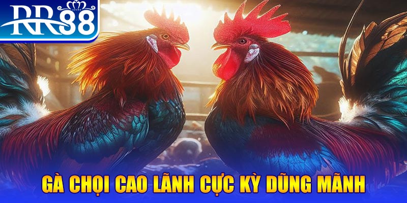 12 bet đăng nhập poker live